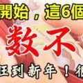 11月開始，這6個生肖意外之財進口袋，錢數不完。一直旺到新年