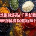 想加速燃脂就來點「黑胡椒」吧！５種辛香料能促進新陳代謝