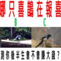 心理測試：哪只喜鵲在報喜？測你後半生會不會賺大錢？