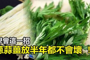 學會這一招，蔥蒜薑放半年都不會壞！簡單實用保存法，學起來！