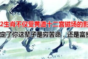 12生肖不僅受黃道十二宮磁場的影響，你的生肖決定了你這輩子是窮苦命，還是富貴命