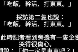 每天笑一笑，把煩惱都拋掉