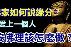 佛家如何說緣分？愛上一個人按佛理該怎麼做？