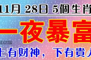 11月28日馬上要一夜暴富的4個生肖，上有財神，下有貴人