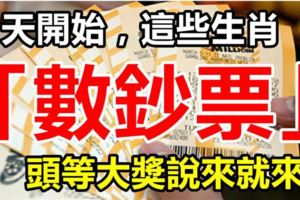 今天開始，這些生肖開始「進鈔票」，頭等大獎說來就來！