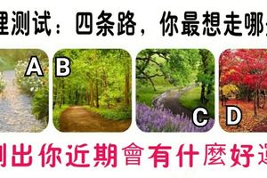 心理測試：四條路，你最想走哪條？測出你近期會有什麼好運