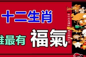 十二生肖裡是最有福氣，幸運指數非常高！