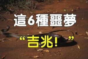 做了噩夢別害怕，這些夢境是「吉兆」！