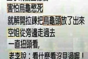 一匹馬跟一頭驢相戀了,馬說:俺愛你,驢說:俺也愛你,馬說:你親我吧,驢說:不行,俺娘說了.....