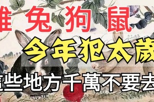 緊急！生肖雞、兔、狗、鼠今年犯太歲！這些地方千萬不要去！尤其是第三個地方，後果太嚴重了！