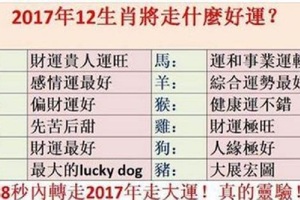 2017年12生肖將走什麼好運？88秒內轉走2017年走大運！真的靈驗！