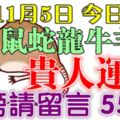 11月5日鼠、蛇、龍、牛、羊、猴！上榜請留言5569【貴人運旺】