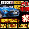 暗藏數字吉與凶。2018年車牌號碼的禁忌！你避忌哪些號碼？選對【大吉】選錯【大兇】