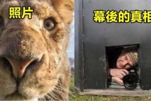 這15張幕後的真相照片能解開你一輩子的疑惑！