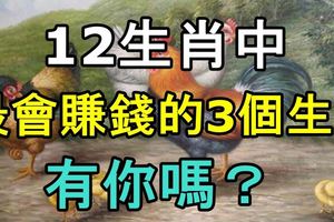 12生肖中最會賺錢的3個生肖，有你嗎？