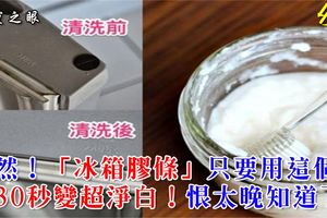 居然！「冰箱膠條」只要用這個清，就30秒變超淨白！恨太晚知道了...