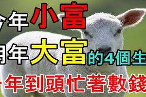 今年小富、明年大富的4個生肖，一年到頭忙著數錢！