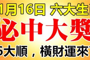 11月16日必中大獎，六大生肖66大順，他們的橫財運來了