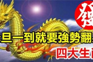 1月1日元旦一到，就要強勢「大翻身」的四大生肖