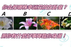 你會把哪株幸運花放在臥室？測你有什麼好事降臨你身邊！