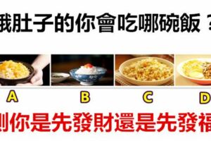 餓肚子的你會吃哪碗飯？測你是先發財還是先發福