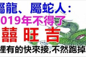 屬龍屬蛇人：2019年是上上等運勢哦！家裡有這2個生肖的快來接吧，不然就跑掉咯