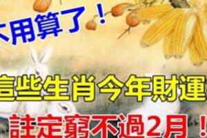 鹹魚大翻身！這些生肖今年財運好，註定窮不過2月