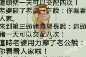 醉人的爸媽很能惹人笑呀!哈哈哈