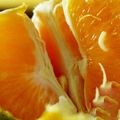 天啊！愛吃「橘子」要注意了，現在知道還不晚！千萬別忘了告訴家人！