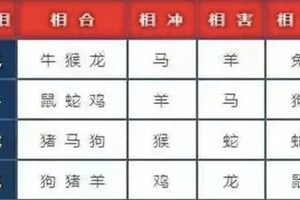 準到發爐！十二生肖相合相剋表！相沖、相害、相刑的人是誰，趕緊對照一下！