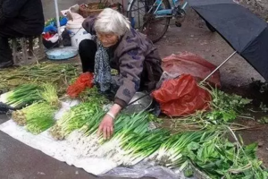 别总是去超市买菜，看完你就明白了！