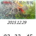 12月29日  六合  如魚得水  黑白報報