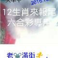 10月13日 12生肖來報尾(六合彩專用)