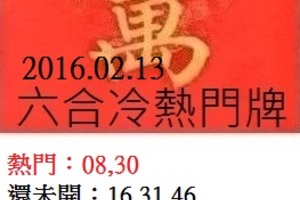 2月13日  六合 冷熱門(統計)參考號碼