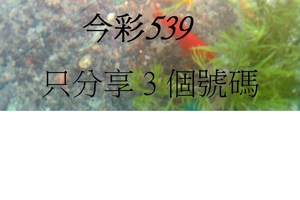 3月14日  今彩539  如魚得水  黑白報報