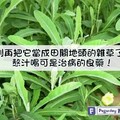 【中醫說】別再把它當成田間地頭的雜草了，熬汁喝可是治病的良藥！