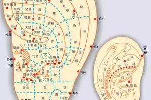 一身之氣貫於耳，耳朵這顆“養生丹”每天十分鐘，通暢全身氣血