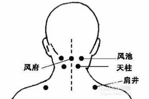 穴位養生法來了一個穴位解決一種病