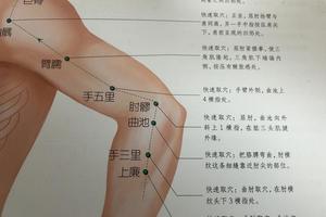 穴位養生｜​眼部疾病、肩周炎按揉臂臑穴，清熱明目、通絡止痛