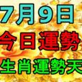 十二生肖運勢天天看，今日運勢：7月9日！