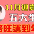 11月迎貴人，5大生肖，一路旺運到年底！