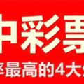 幸運！十二月底，中彩票大獎概率最高的4大生肖！