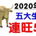 算命說：從2020年起「連旺5年」的5個生肖，把全家都帶旺！