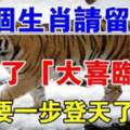 四個生肖請留步！接住了「大喜臨門」要不了多久，事業飛黃騰達