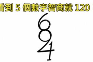 3個題目「簡單粗暴卻難倒9成9網友」的超燒腦智力測驗，第1隻有1.7%的人看得到5個數字！