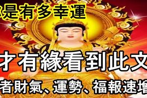 你是有多幸運，才有緣看到此文！見者財氣、運勢、福報速增！