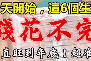 今天開始，這6個生肖意外之財進口袋，錢花不完。一直旺到年底！