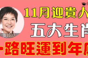 11月迎貴人，5大生肖，一路旺運到年底！