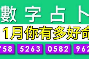 數字佔蔔：憑直覺選一組數字測出11月你有多好命？