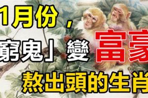 11月份，這六大生肖熬出頭，「窮鬼」變「富豪」！